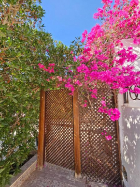 hadaba villa 51D
